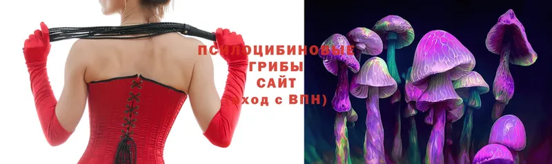 Псилоцибиновые грибы MAGIC MUSHROOMS  blacksprut ссылка  Лыткарино  где продают наркотики 